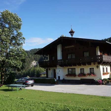 Gastehaus Soldanella Ξενοδοχείο Ramsau am Dachstein Εξωτερικό φωτογραφία